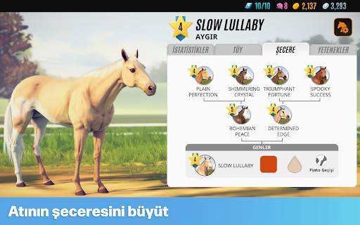 Rival Stars Horse Racing screenshot 19
