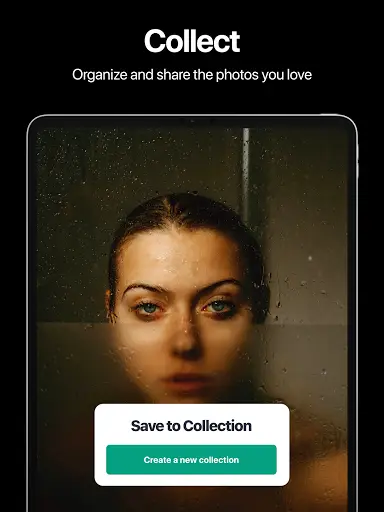 Pexels: HD  videos & photos screenshot 10