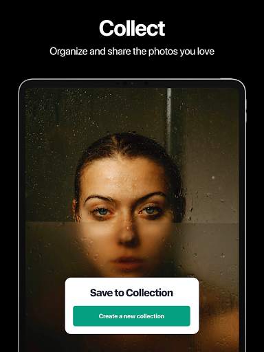 Pexels: HD  videos & photos screenshot 10