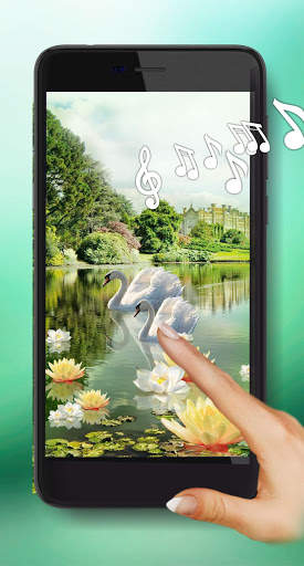 Swans and Lilies LWP स्क्रीनशॉट 1