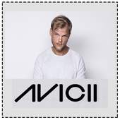Avicii Song 1.0