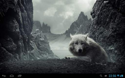 Wolves live wallpaper screenshot 5