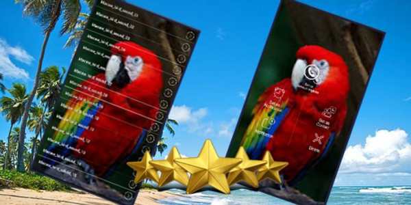 Macaw Parrot Bird Sound screenshot 1