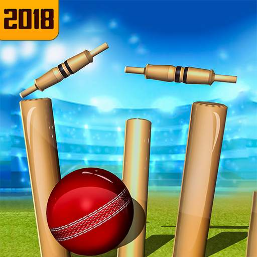 Top Cricket Ball Slope Game 1.6