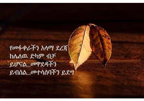 እኔና አንቺ 2 - Ethiopian Couples Romance 2 screenshot 3