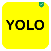 YOLO  Q&amp;A icon