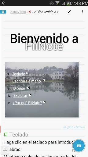 FiiWrite screenshot 1