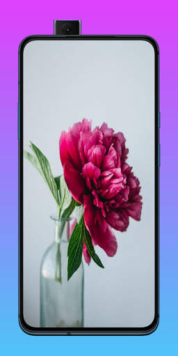 خلفيات واتس اب screenshot 6