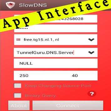 Guide for VPN Over DNS Tunnel : SlowDNS screenshot 13