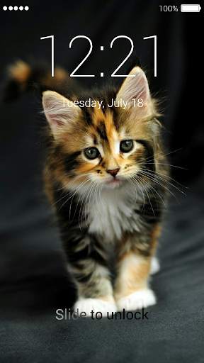 Kitten Lock Screen 3 تصوير الشاشة