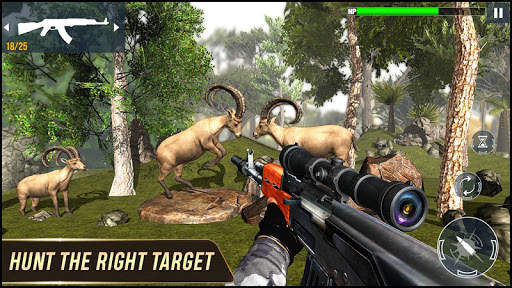 Frontier Animal Hunter - Hill Hunting games 2020 screenshot 5