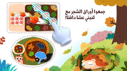 حيوانات غابة الباندا الصغير 3 تصوير الشاشة
