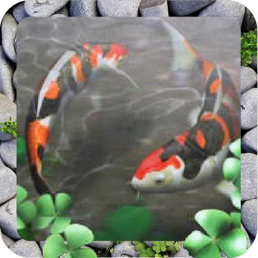 Free Waterpool Live Wallpaper icon