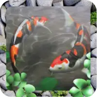 Free Waterpool Live Wallpaper icon