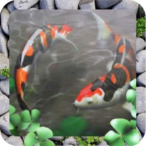 Free Waterpool Live Wallpaper 1.21