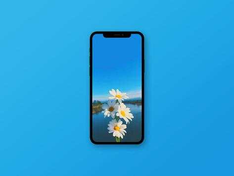 Sunflower Wallpaper screenshot 5