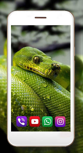 Snake Sounds Live Wallpaper screenshot 1