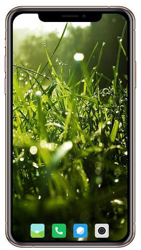 HD Grass Wallpaper screenshot 8