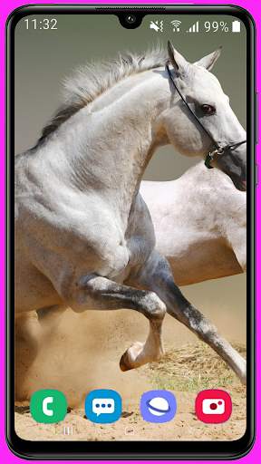 Horse Wallpaper Best HD screenshot 11