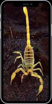 Scorpion Wallpaper HD screenshot 6