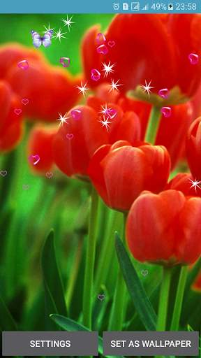 Tulip Live Wallpapers screenshot 6