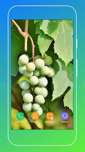 Grapes Wallpapers HD screenshot 11