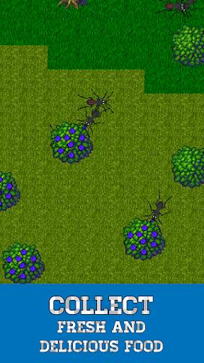 Ant Evolution - ant colony and terrarium simulator screenshot 2