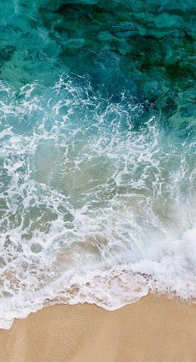 Beach Video Live Wallpaper screenshot 1
