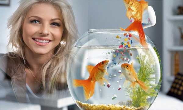 Aquarium Photo Frame screenshot 2