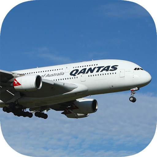 Airplane Flight Simulator 3D 1.0