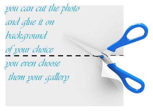 Cutter Photo Editor screenshot 1