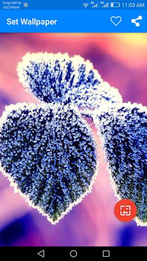 10000  Nature Wallpapers & Backgrounds 3 تصوير الشاشة