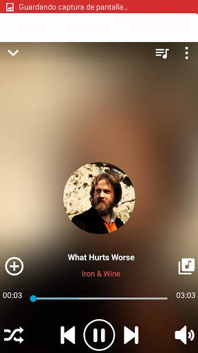 Folk Music screenshot 3