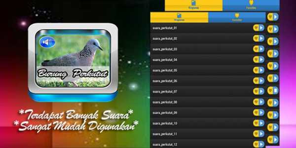 Suara Perkutut Lokal Masteran screenshot 1