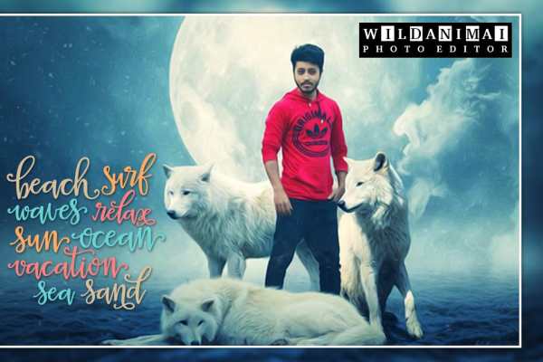 Wild Animal Photo Editor screenshot 4