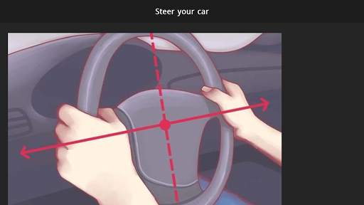 Learn Driving Offline screenshot 7