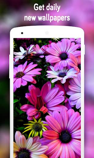 Flower Wallpaper (4k) screenshot 2