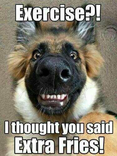 Funny Animal Meme screenshot 5