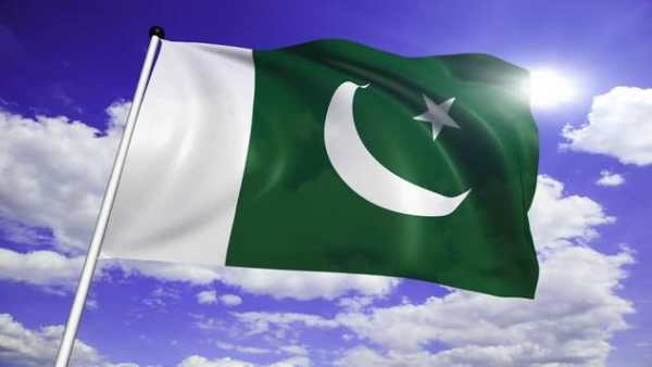 Pak Browser screenshot 6