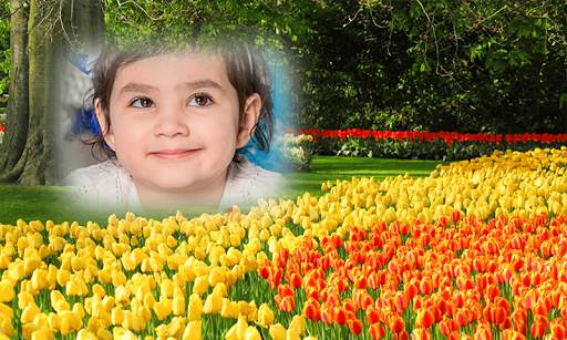 Photo Frame Family Photo Frame Garden application screenshot 16