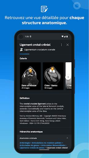 vet-Anatomy screenshot 5
