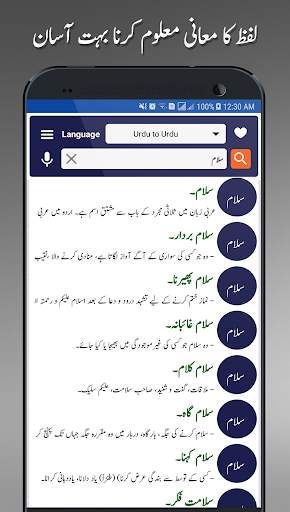 Offline Urdu Lughat – Urdu to Urdu Dictionary screenshot 2