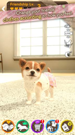 with My DOG screenshot 5