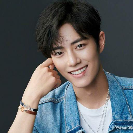 Xiao Zhan Wallpaper 2020 23.0
