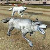 Wild Wolf Racing Game 1.1