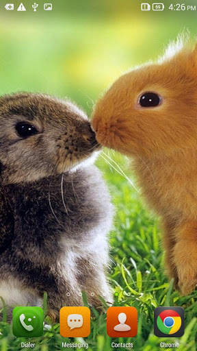 Cute Bunnies Live Wallpaper screenshot 2