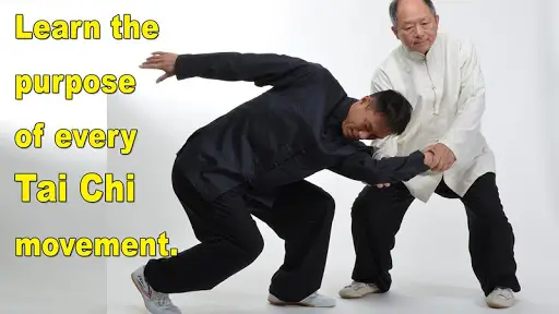 Tai Chi Martial Applications screenshot 4