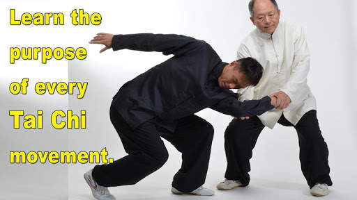 Tai Chi Martial Applications screenshot 4