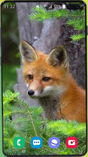 Fox Wallpaper Best HD screenshot 2