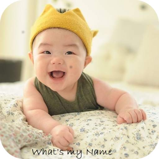 Hindu Baby Names With Meanings 1.16